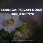Berbgai macam noise dan jenisnya