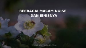 Berbgai macam noise dan jenisnya