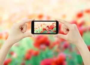 Read more about the article Tips Fotografi Menggunakan Handphone: Membawa Kualitas Foto ke Level Selanjutnya