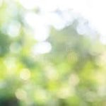 Panduan Lengkap: Cara Membuat Efek Bokeh dengan Mudah Menggunakan Aplikasi Android