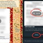 Jangan Terkecoh! Ini Dia Modus-Modus Penipuan File APK Melalui WhatsApp